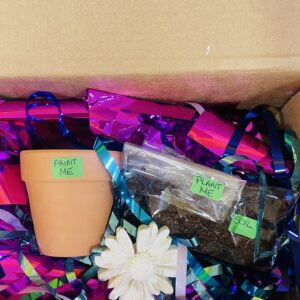 Little Sparks Gardening Kit