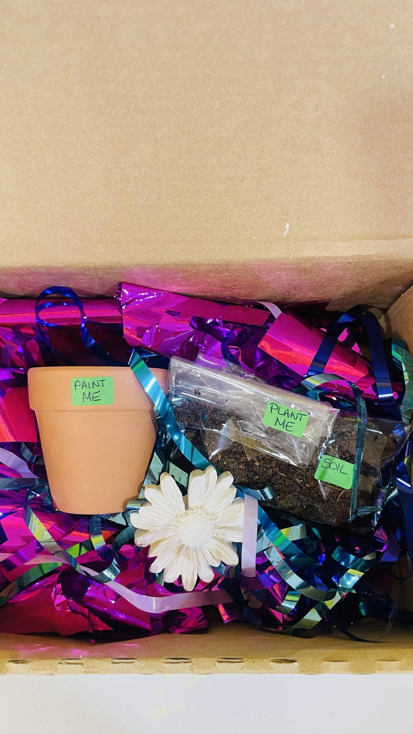 Little Sparks Gardening Kit